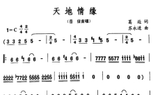 岳佳《天地情缘》歌词_简谱