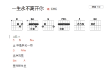 CHC《一生永不离开你》吉他谱_D调吉他弹唱谱_和弦谱