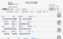 顺子《恰好的寂寞》吉他谱_G调吉他弹唱谱_和弦谱