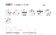 赵牧阳《侠客行》吉他谱_D调吉他弹唱谱_和弦谱