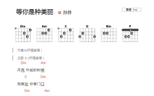 孙异《等你是种美丽》吉他谱_C调吉他弹唱谱_和弦谱