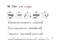 Mr.《Mr.Tam》吉他谱_吉他弹唱谱_和弦谱