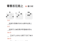 翟小树《青春丢在路上》吉他谱_G调吉他弹唱谱_和弦谱