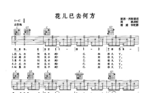 《花儿已去何方》吉他谱_C调吉他弹唱谱