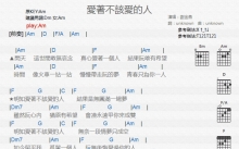 谢金燕《爱着不该爱的人》吉他谱_C调吉他弹唱谱_和弦谱