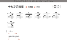 林志颖《十七岁的雨季》吉他谱_C调吉他弹唱谱_和弦谱