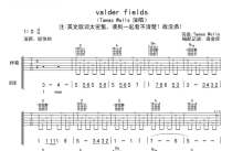 Tamas Wells《valder fields》吉他谱_D调吉他弹唱谱