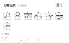 苏诗丁《你看见我》吉他谱_C调吉他弹唱谱_和弦谱