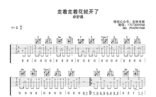 卓舒晨《走着走着花就开了》吉他谱_C调吉他弹唱谱