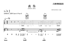 黄海涛《离伤》吉他谱_G调吉他弹唱谱