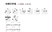 孙燕姿《我要的幸福》吉他谱_G调吉他弹唱谱_和弦谱